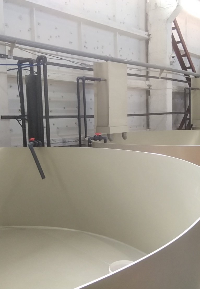 Оксигенатор