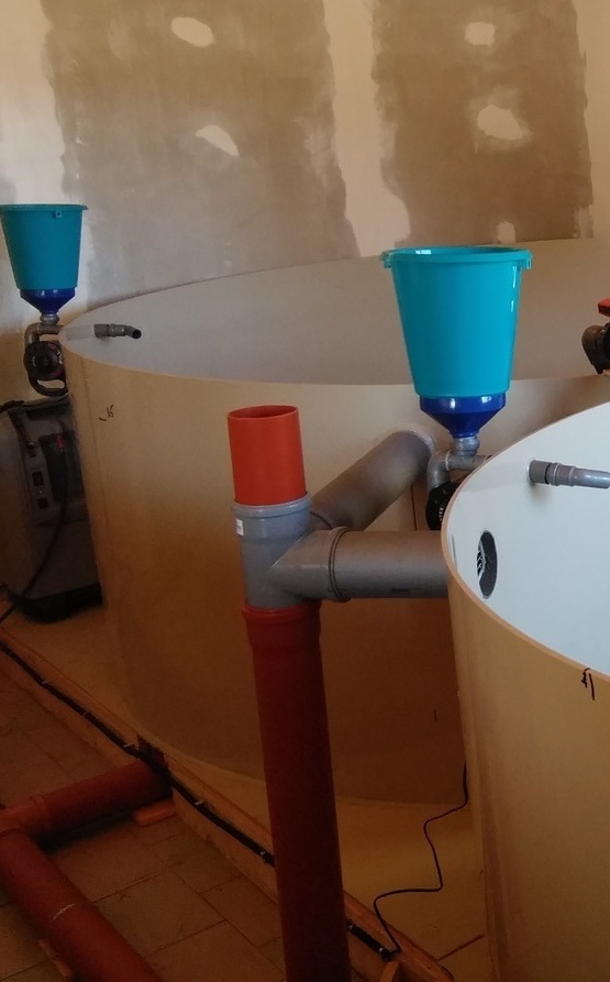 Олонец 2018год.