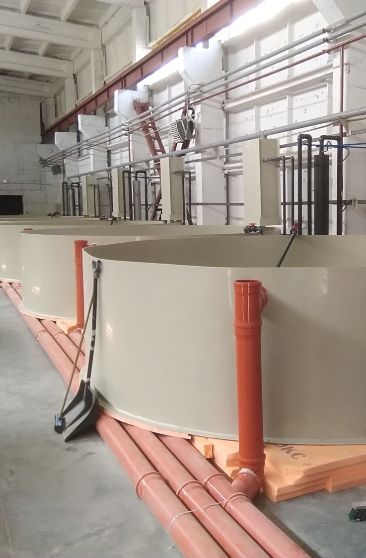 торая линия на 90 кубов готова 