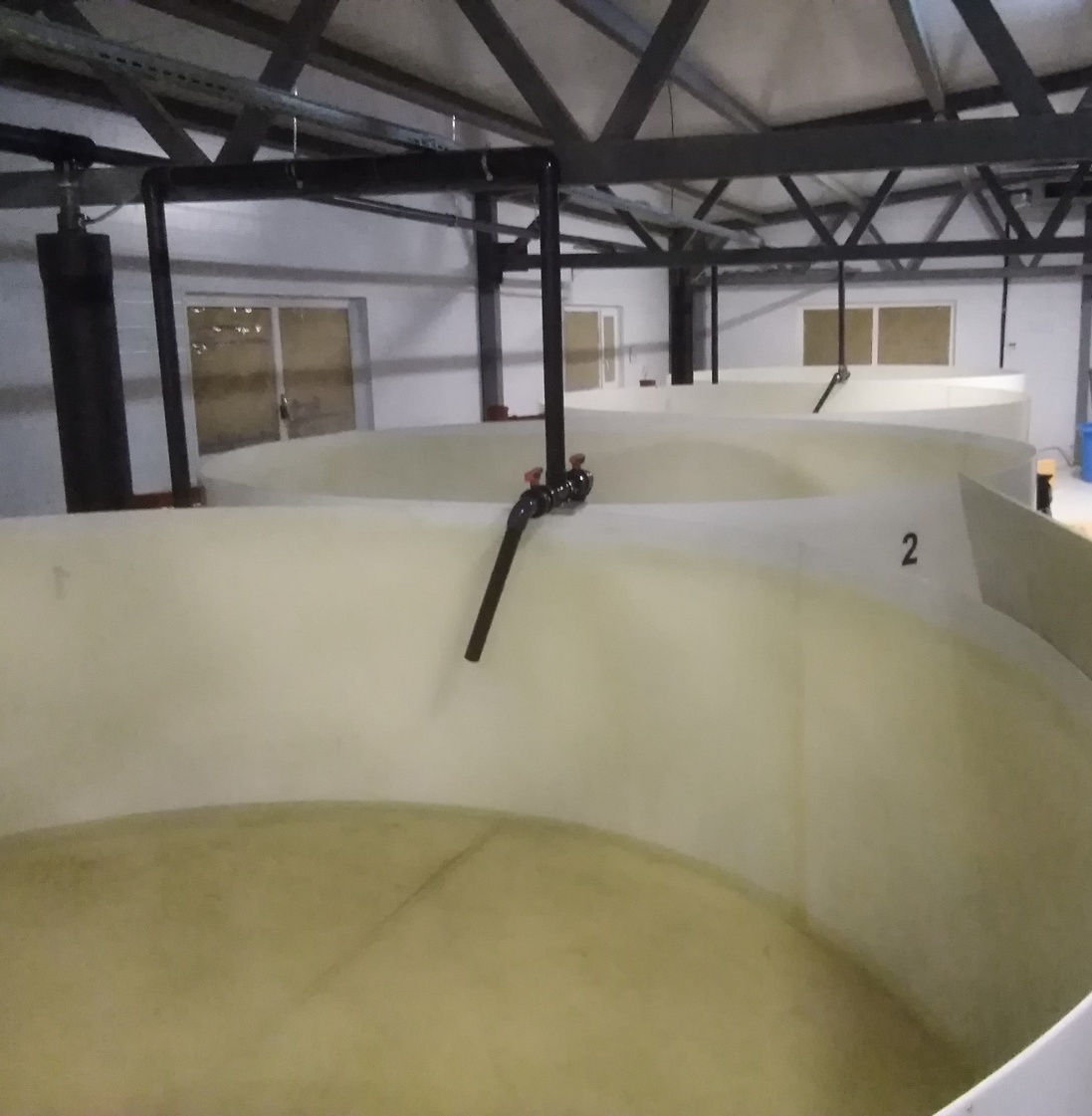 УЗВ форель Вторая линия заполнение водой.