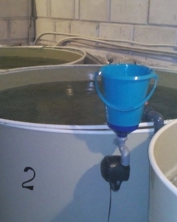 Полностью автоматизирована