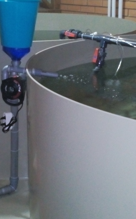 Свежая рыба всегда на вашем столе