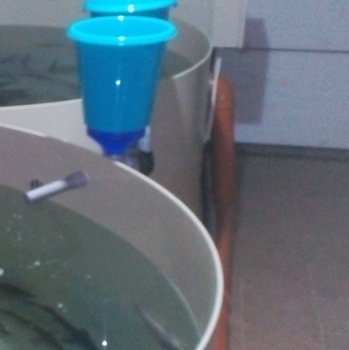 Не большая домашняя УЗВ в подмосковье