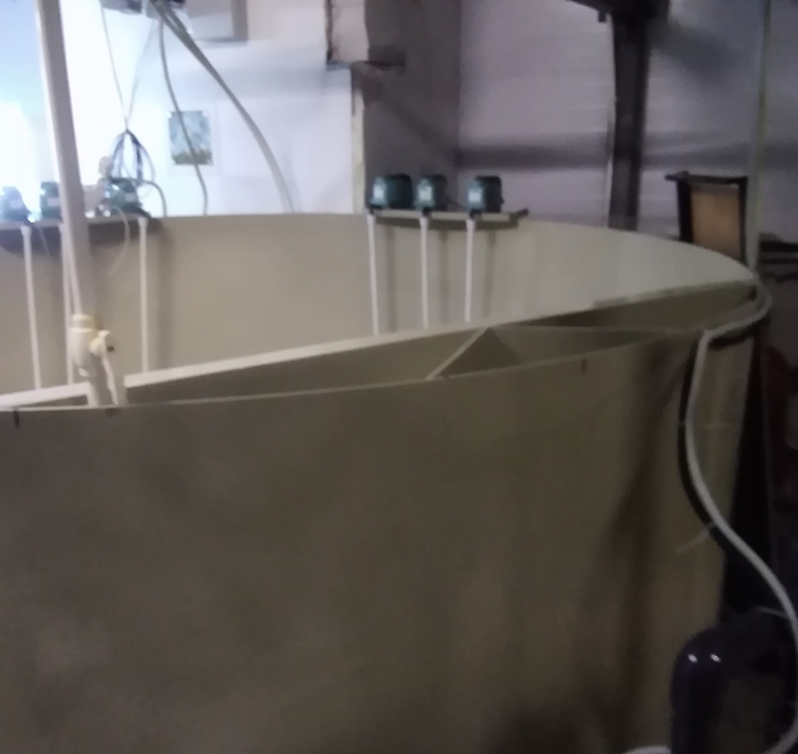 Биофильтр на второй линии. Дони Лен. область.