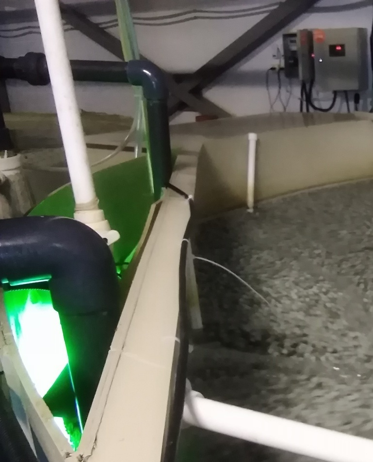 Биофильтр первой линии с УФ стерилизатором.