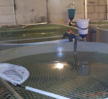 Теперь с кислородом на 1.5 тонны в год